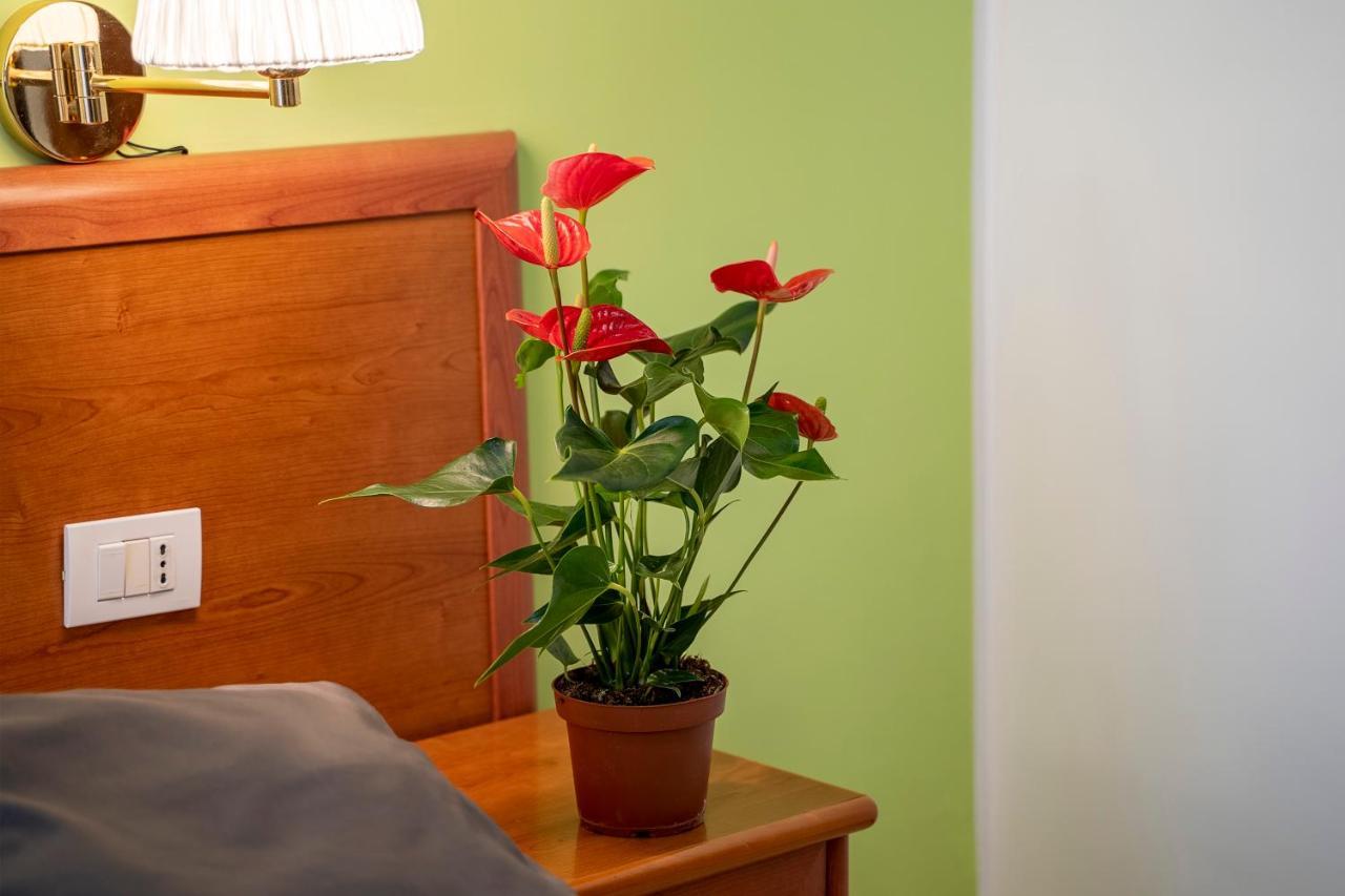 Large Double or Twin Room