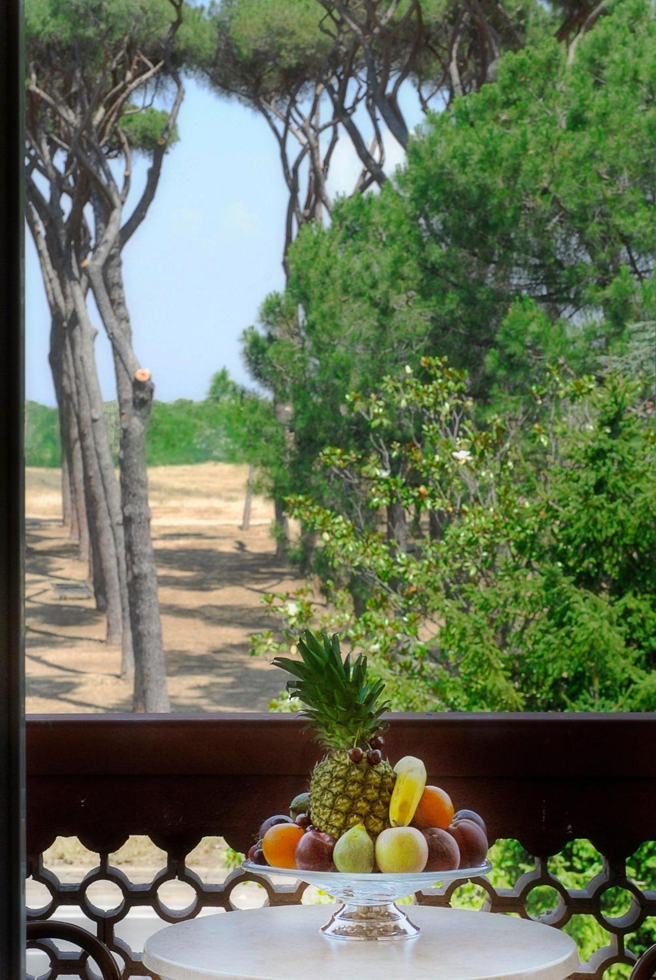 Double or Twin Room with Garden View,546622584:JPEG