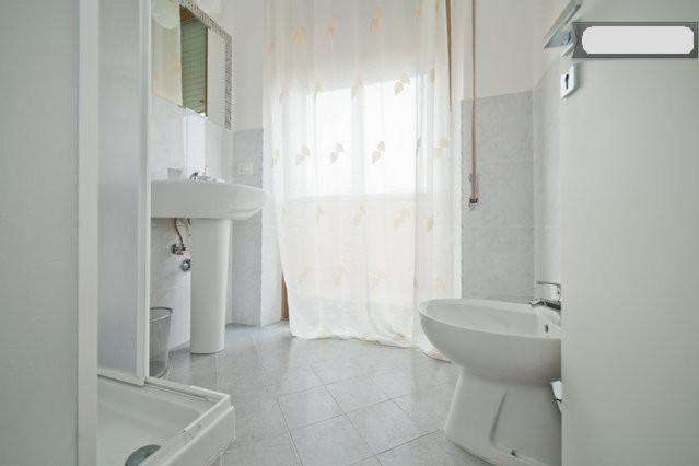 Comfort Triple Room with Shower