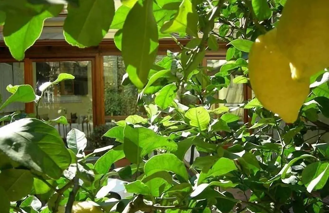 Hotel Select Garden-1