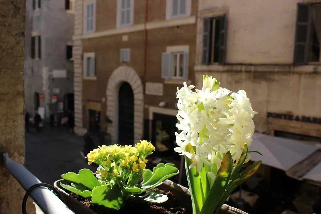 Hub Navona-1