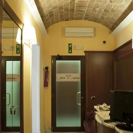 Clara Domus-3