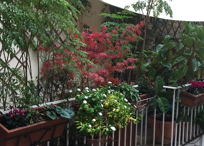 Relais Teatro Argentina Bed & Breakfast Rome