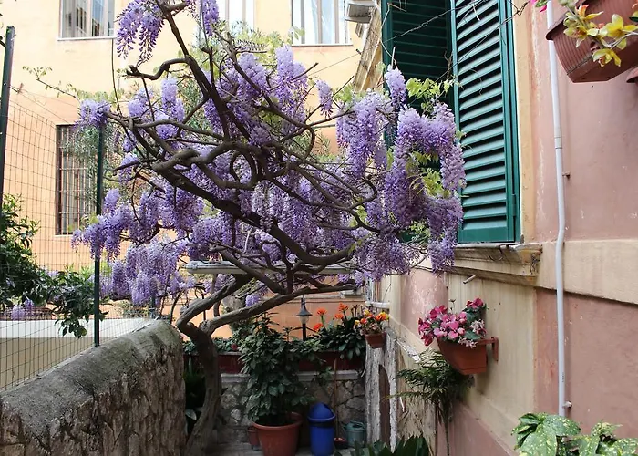 Hotel Pavia Rome
